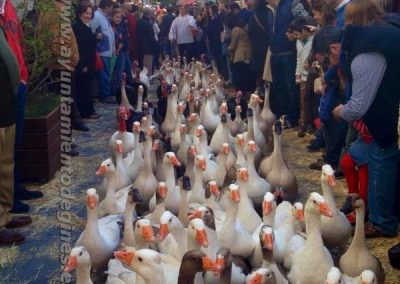 Mercado Medieval y Navideño de Gines