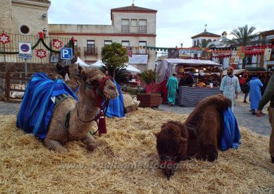 Mercado Medieval y Navideño de Gines