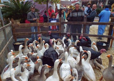 Mercado Medieval y Navideño de Gines