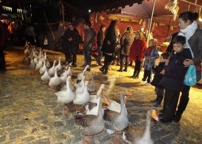 Mercado Medieval y Navideño de Gines
