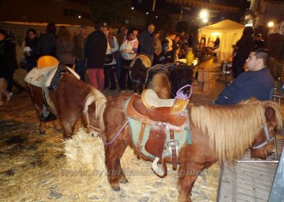 Mercado Medieval y Navideño de Gines