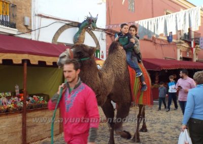 Mercado Medieval y Navideño de Gines