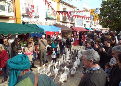 Mercado Medieval y Navideño de Gines