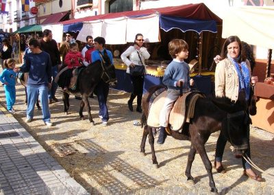 Mercado Medieval y Navideño de Gines