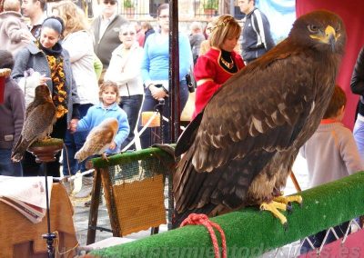 Mercado Medieval y Navideño de Gines