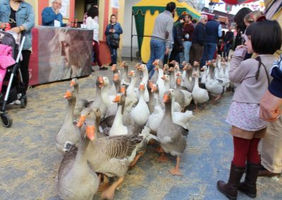 Mercado Medieval y Navideño de Gines