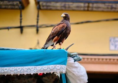 Mercado Medieval y Navideño de Gines