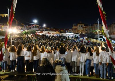 Mercado Medieval y Navideño de Gines