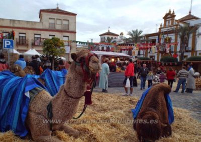 Mercado Medieval y Navideño de Gines