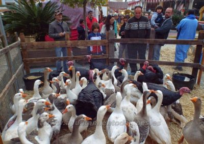Mercado Medieval y Navideño de Gines