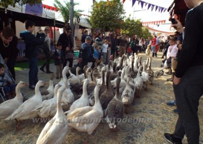 Mercado Medieval y Navideño de Gines