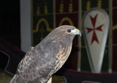 Mercado Medieval y Navideño de Gines
