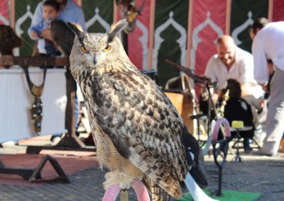 Mercado Medieval y Navideño de Gines