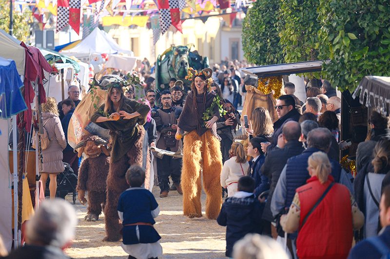 Mercado Medieval y Navideño de Gines