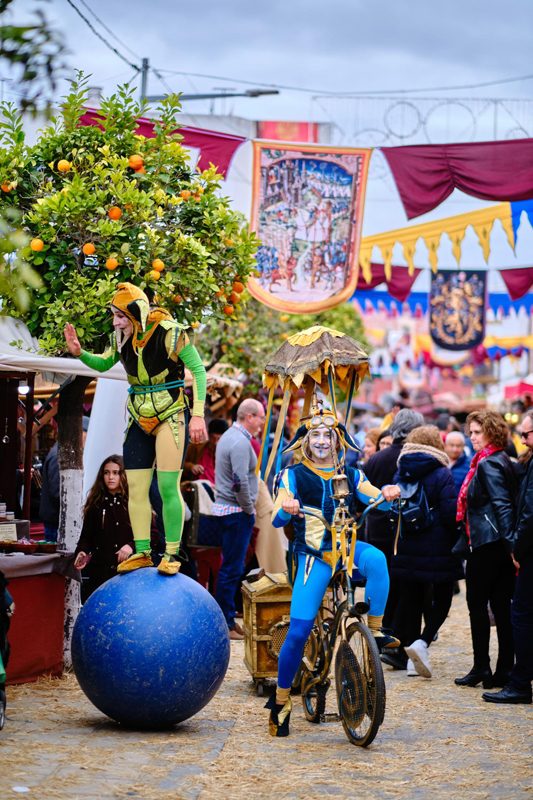 Mercado Medieval y Navideño de Gines